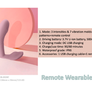 Remote Controlled Wearable Vibrator
