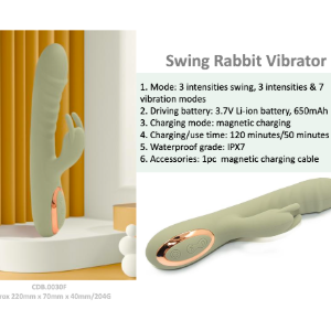 Swing Rabbit Vibrator